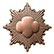Girl Scout Bronze Award Girl Scout Bronze Award pin